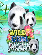 วิธีเล่น mm88 สล็อต ให้ได้เงินง่ายๆ